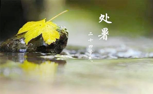 【處暑時節，錦泰合盛商貿共繪綠色化工新篇章】